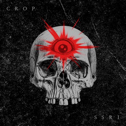 Crop - SSRI - Cover-Hi-Res.jpg