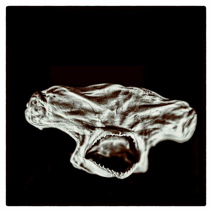 Clone - Care to Try EP (cover artwork).jpg