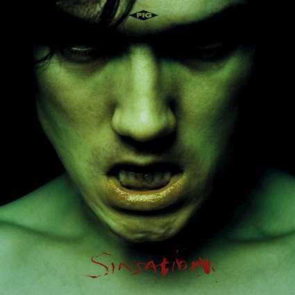 PIG - Sinsation (album cover).jpeg